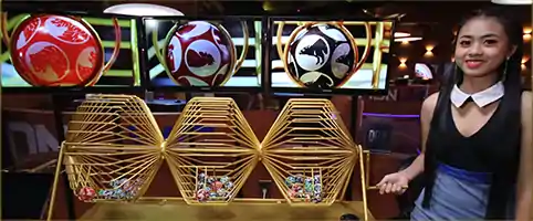 Live Game 3D Shio Menjadi Pilihan Utama Pecinta Togel